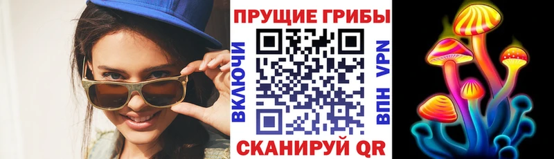 купить   Тейково  Псилоцибиновые грибы Cubensis 