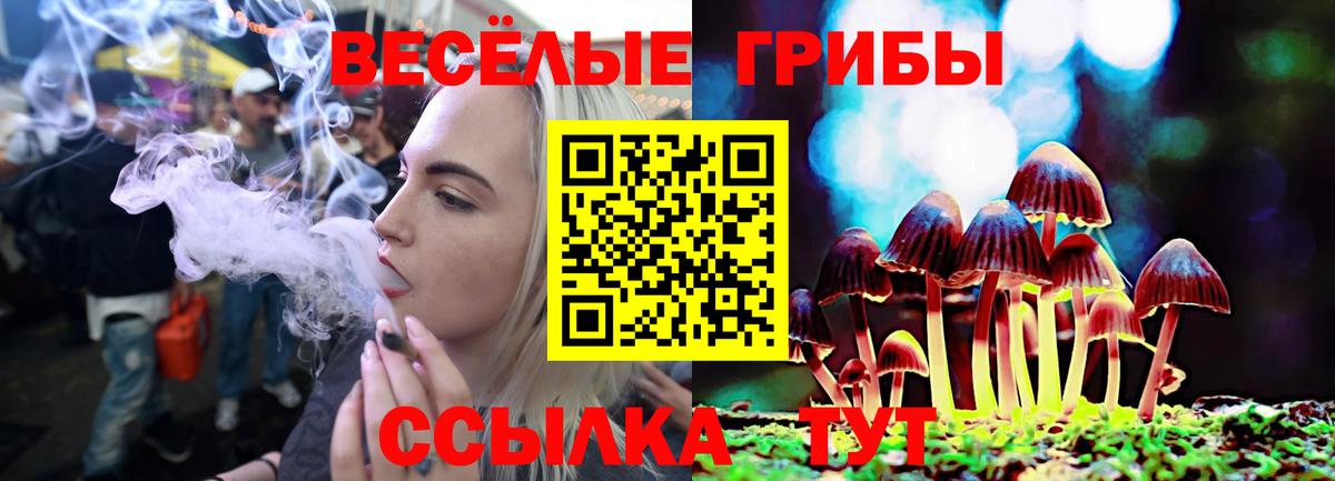 Псилоцибиновые грибы прущие грибы  Вход с VPN  Тейково 